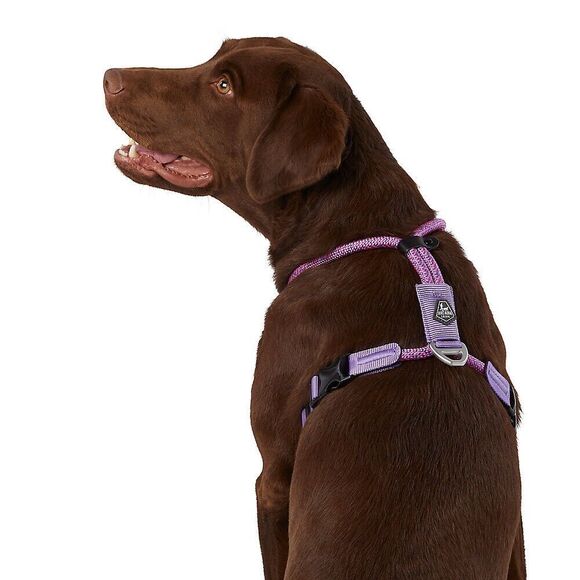 Arcadia Trail Lightweight Maximum Mobility Rope Dog‎ Harness Purple 2XL - Picture 1 of 5